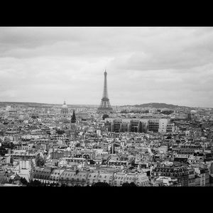 Meet your Posher, Lilly